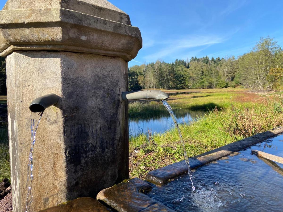 Gite Des Prary Des Mille Etangs Ternuay-Melay-et-Saint-Hilaire Exterior photo
